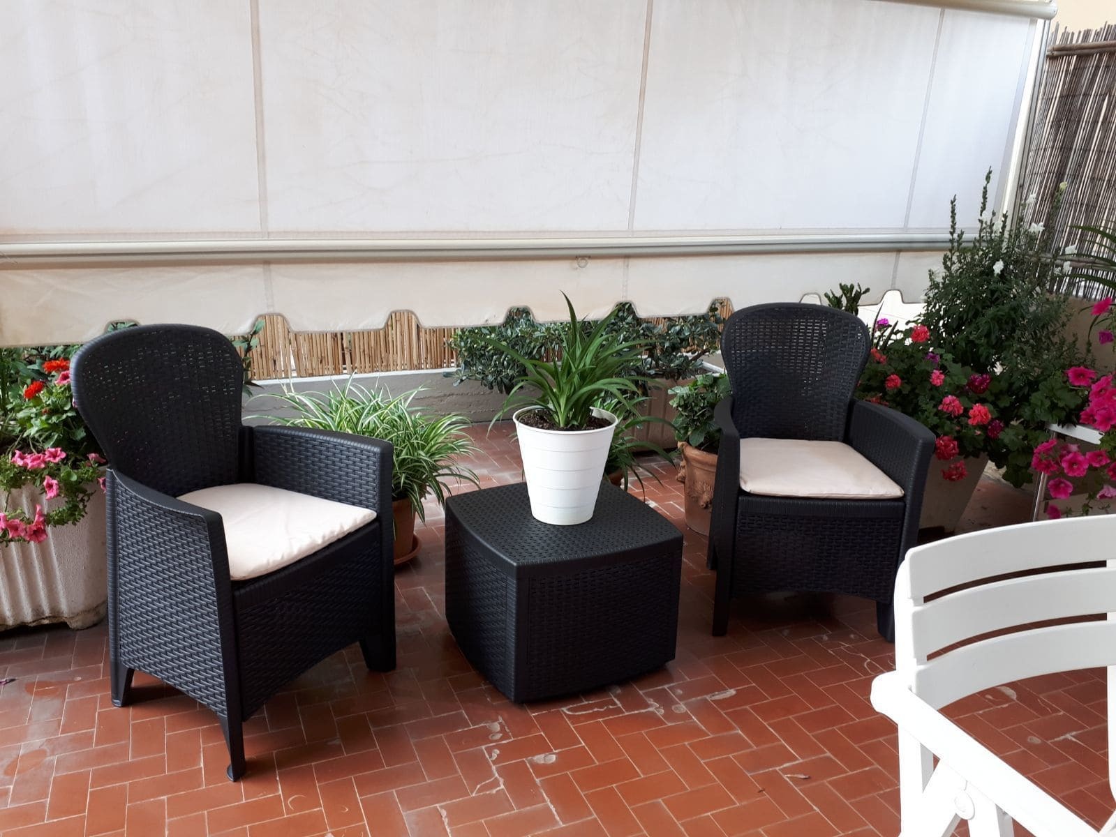Affittacamere Il Conte Follonica Exterior photo